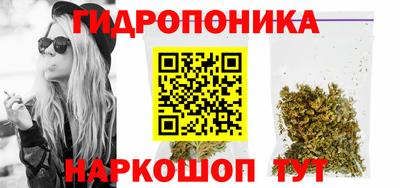 гидропоника Гусиноозёрск