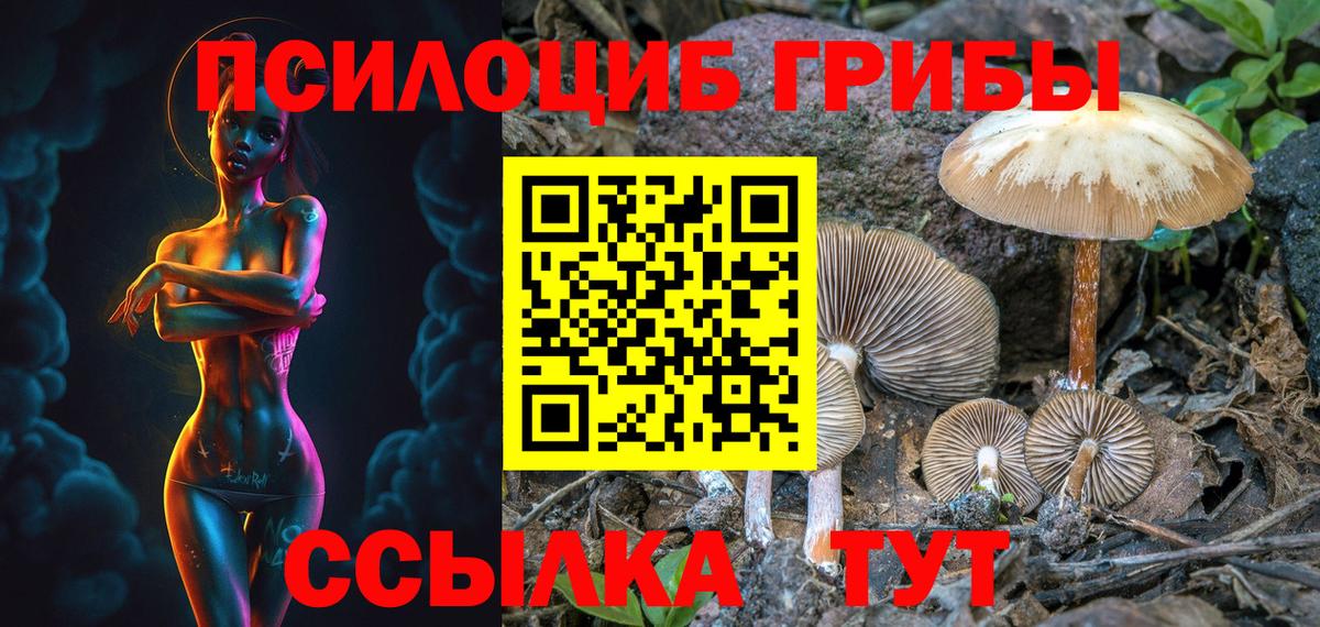 Псилоцибиновые грибы мицелий Лянтор