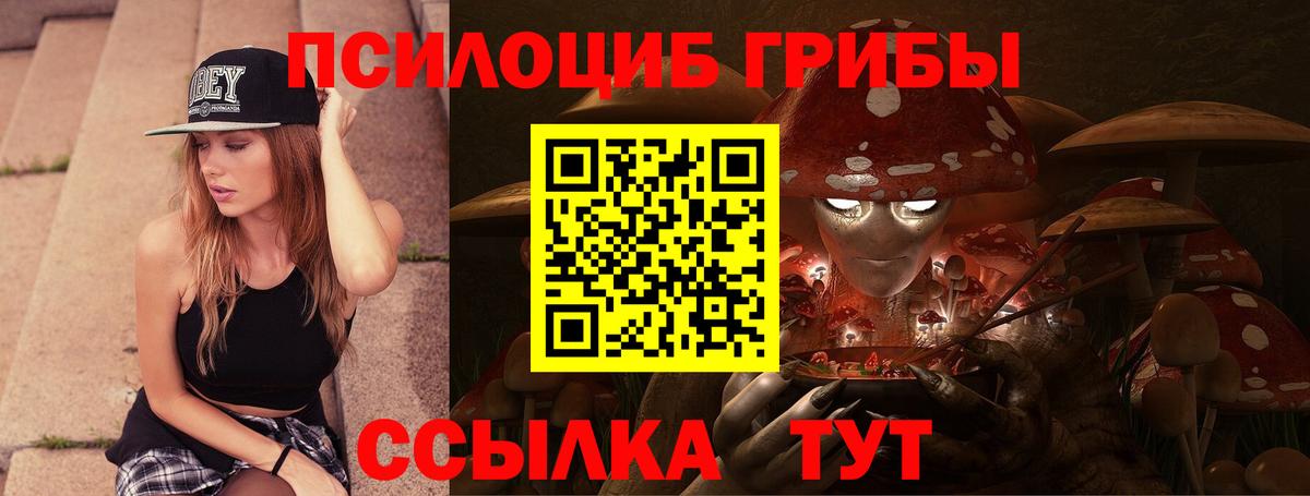 Псилоцибиновые грибы Psilocybe  Лянтор  Псилоцибиновые грибы Cubensis 